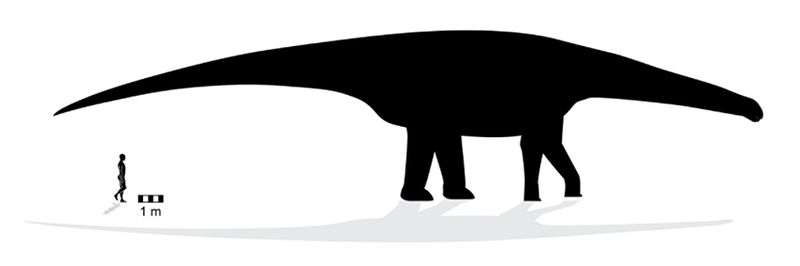 Illustration for article titled La huella de dinosaurio más grande registrada hasta la fecha es tan larga como la altura de un ser humano